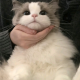 优雅易妮
