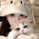 可爱的的猫猫