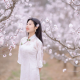 茜茜·情感 成长