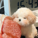 饿了的高中生
