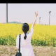 随听人间四月天
