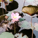 水晶球倾听