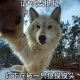 ?定保持理性