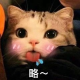 应心