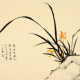 大黄猫
