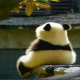 暖暖，，，