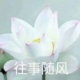 乾元【传统国学】