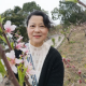 七零后萧萧情感聆听