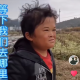 一一风荷举
