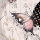 文韵