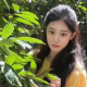 小C情感陪伴