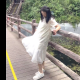 关关过