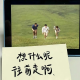 南湾不秋北山入梦