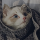 归于情感