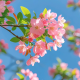布洛芬【温暖树洞】