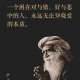 太傻之爱
