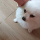 嘉睿【聊天陪伴】