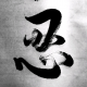 朗行者情感分析