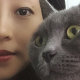 人淡情感情绪