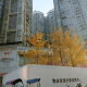 以我心之灯火