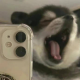 百菜