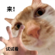 静待另一片天