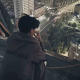 左木
