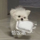 谈渡桥