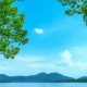 我是夏天