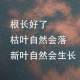 忘忘(心情舒缓)