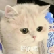 苏滢