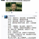 冬天的雪可卑不亢