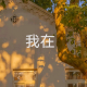 九合小满倾听和陪伴