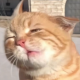 白馒头