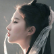 月下锦鲤~树洞倾听