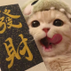 初华