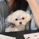 小熊小熊