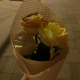 是青青啊~
