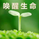 琬婷专注倾听