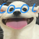 蓝蓝轻音基友情感