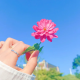 心灵小筑,灵魂氧吧