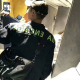 东北铁锅在逃大鹅