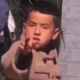 活泼的涵柏
