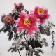 惊喜的莹芝