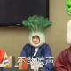 流浪的温蒂