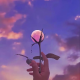 S芙蓉【情感修复】