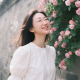 心语星辰倾听