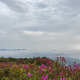 海雨