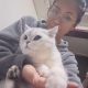 卷毛毛的猫