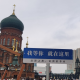 遍地梧桐花